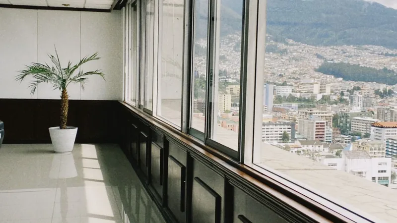 An empty office interior with a wall of windows, a potted palm and a city view